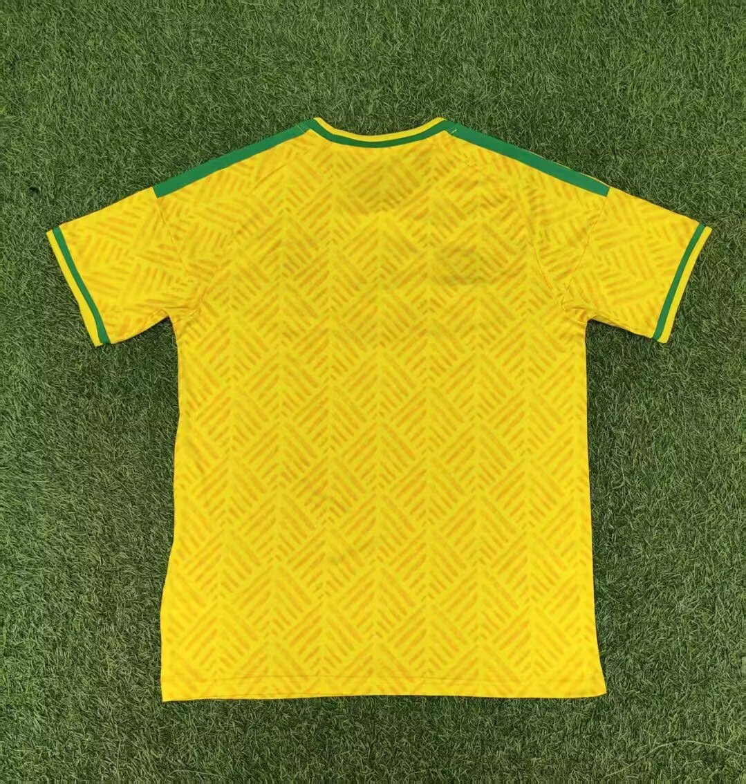 South Africa 2026 Home kit
