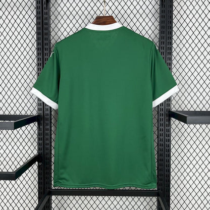 Palmeiras 2025 Home kit