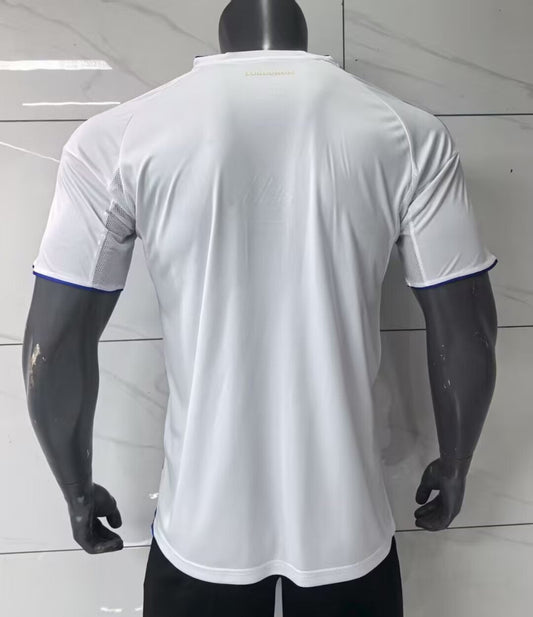 Olympique Lyonnais 25/26 Away kit