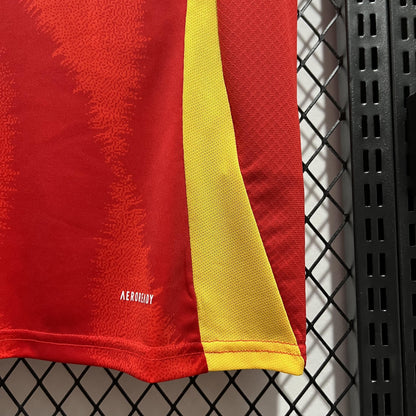 Spain 24/25 Home kit