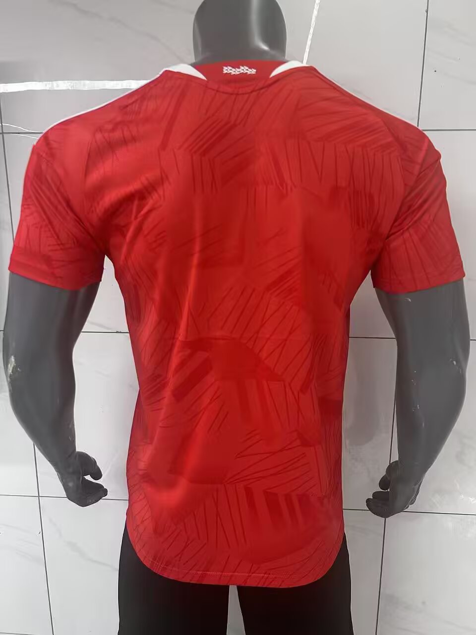 Benfica 26/27 Home kit