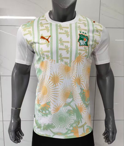 Ivory Coast 2026 Away kit