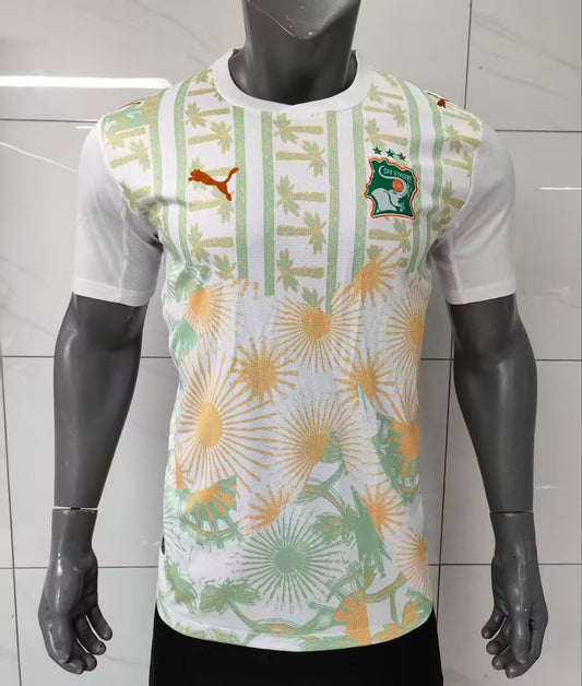 Ivory Coast 2026 Away kit