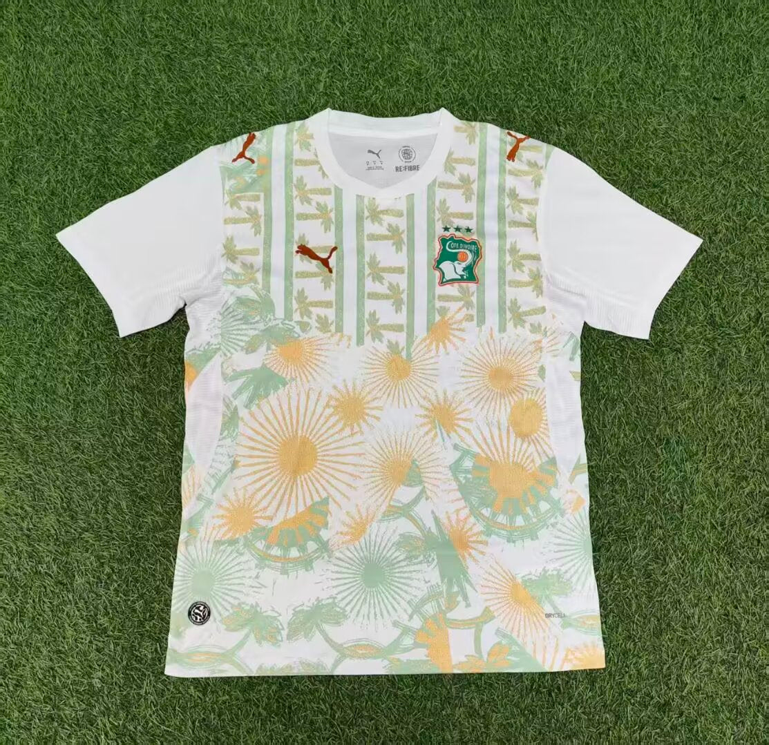 Ivory Coast 2026 Away kit