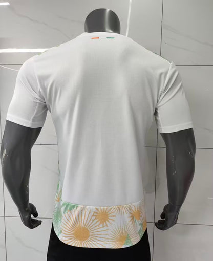 Ivory Coast 2026 Away kit