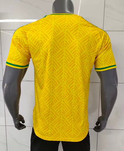 South Africa 2026 Home kit