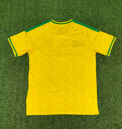 South Africa 2026 Home kit