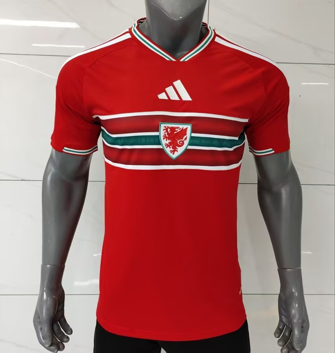 Wales 2026 Home kit