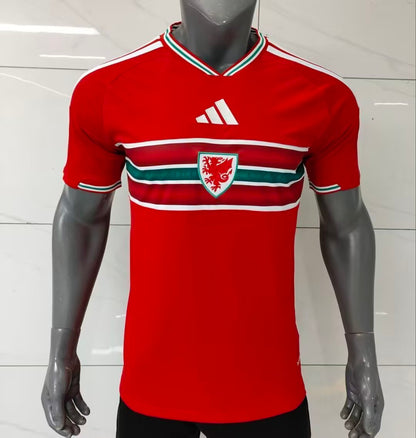 Wales 2026 Home kit