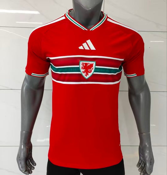 Wales 2026 Home kit