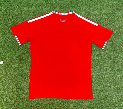 Wales 2026 Home kit