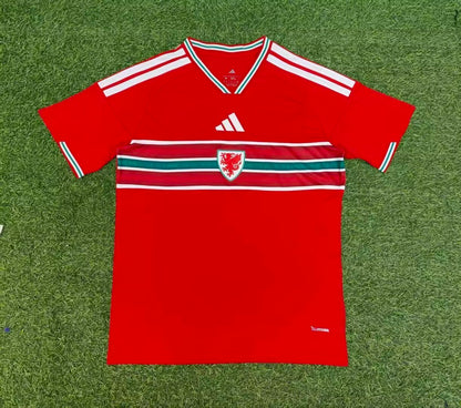 Wales 2026 Home kit