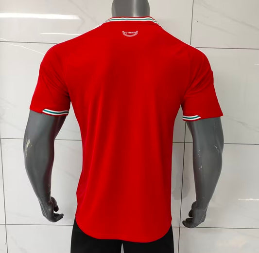 Wales 2026 Home kit