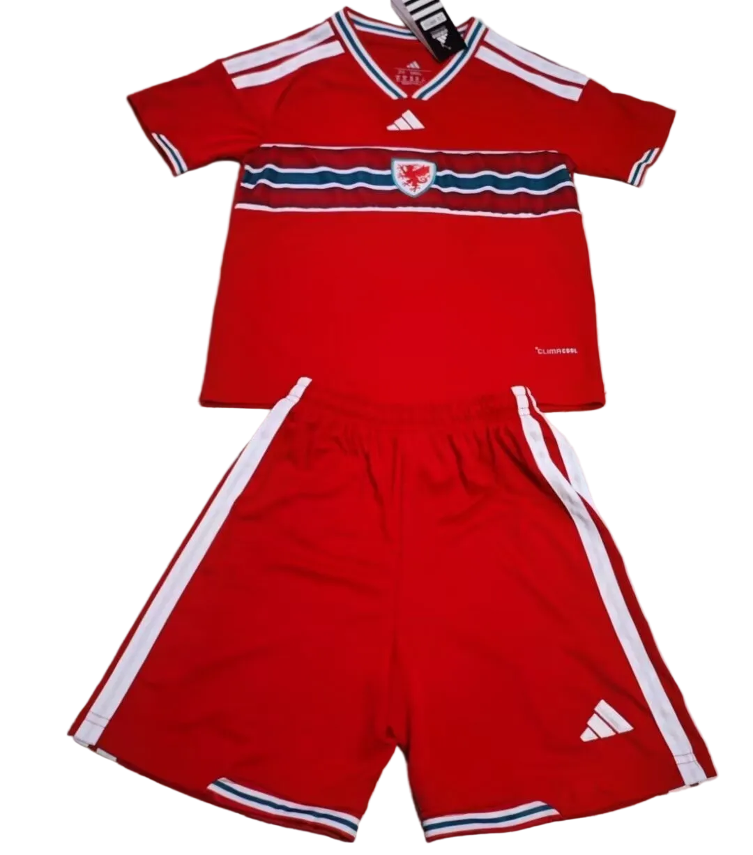 Wales 2026 Kids Home kit