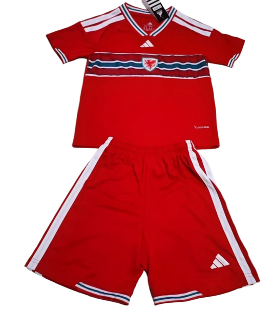 Wales 2026 Kids Home kit